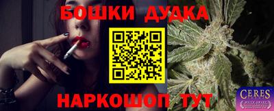 PSILOCYBIN Краснознаменск